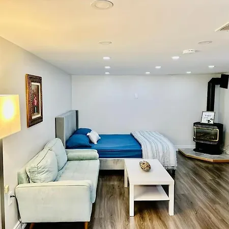Apartamento Cozy Studio Bsmt In Scarborough Central